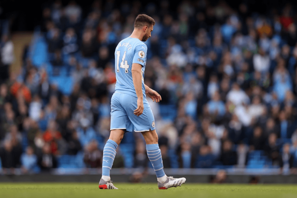 إيمريك لابورت